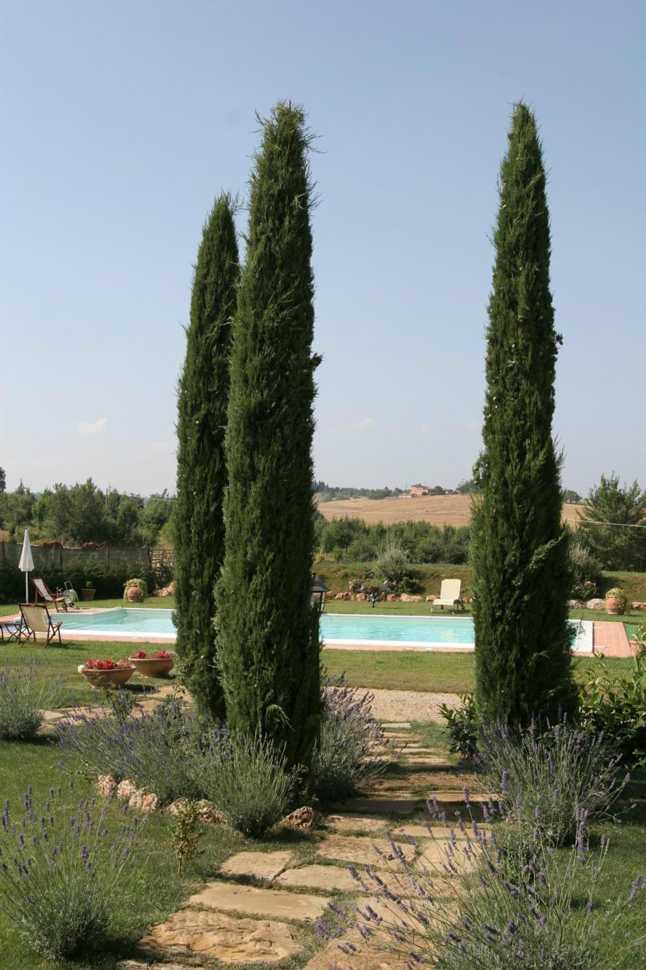 Agriturismo Renaccino Сиена Екстериор снимка